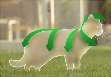 FRONTLINE SPOT-ON pro kočky 3 pipety - Obrázek 2