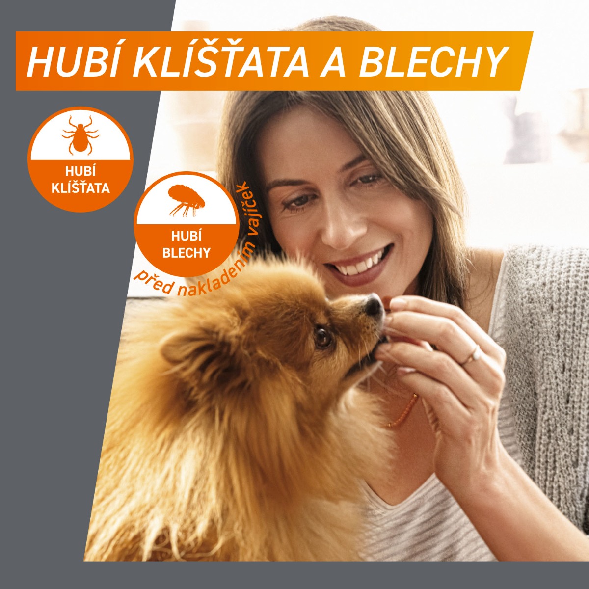 FRONTPRO Žvýkací tablety pro psy 4-10 kg 28,3 mg 3 tablety - Obrázek 4