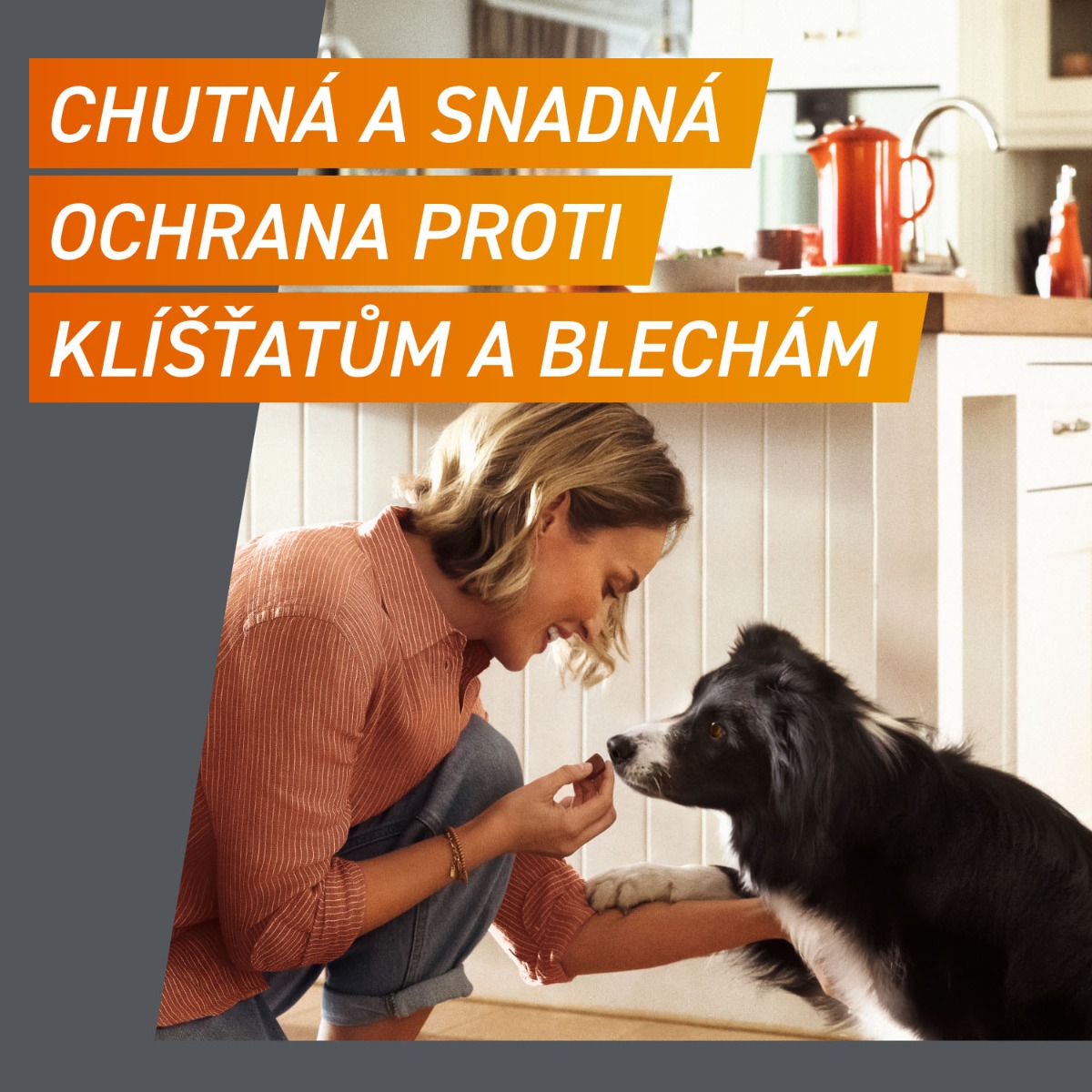 FRONTPRO Žvýkací tablety pro psy 4-10 kg 28,3 mg 3 tablety - Obrázek 3