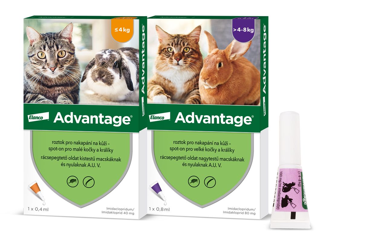 Advantage Roztok pro nakapání na kůži spot-on pro malé kočky a králíky 40 mg 1x0,4 ml - Obrázek 3