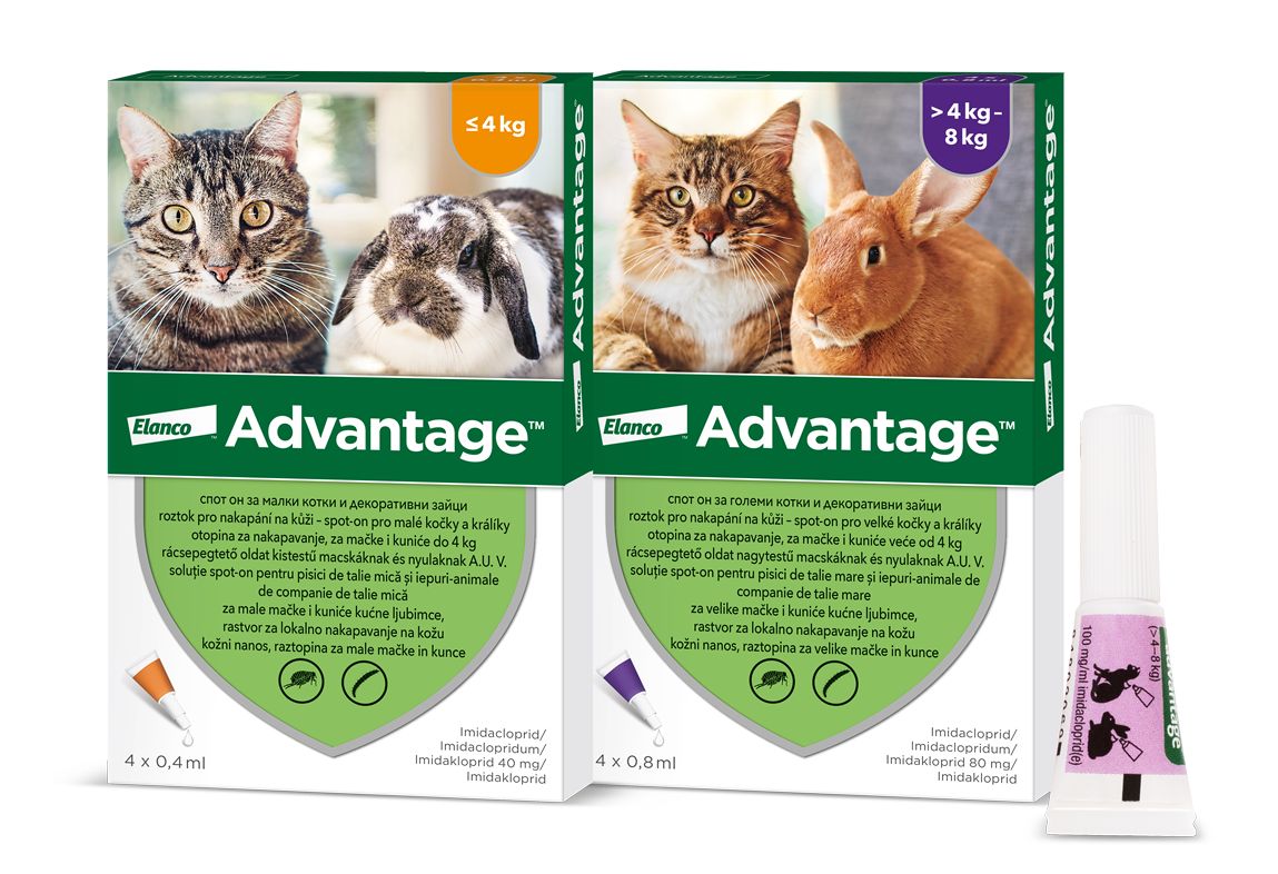 Advantage Spot-on pro malé kočky a králíky 40 mg 4x0,4 ml - Obrázek 3