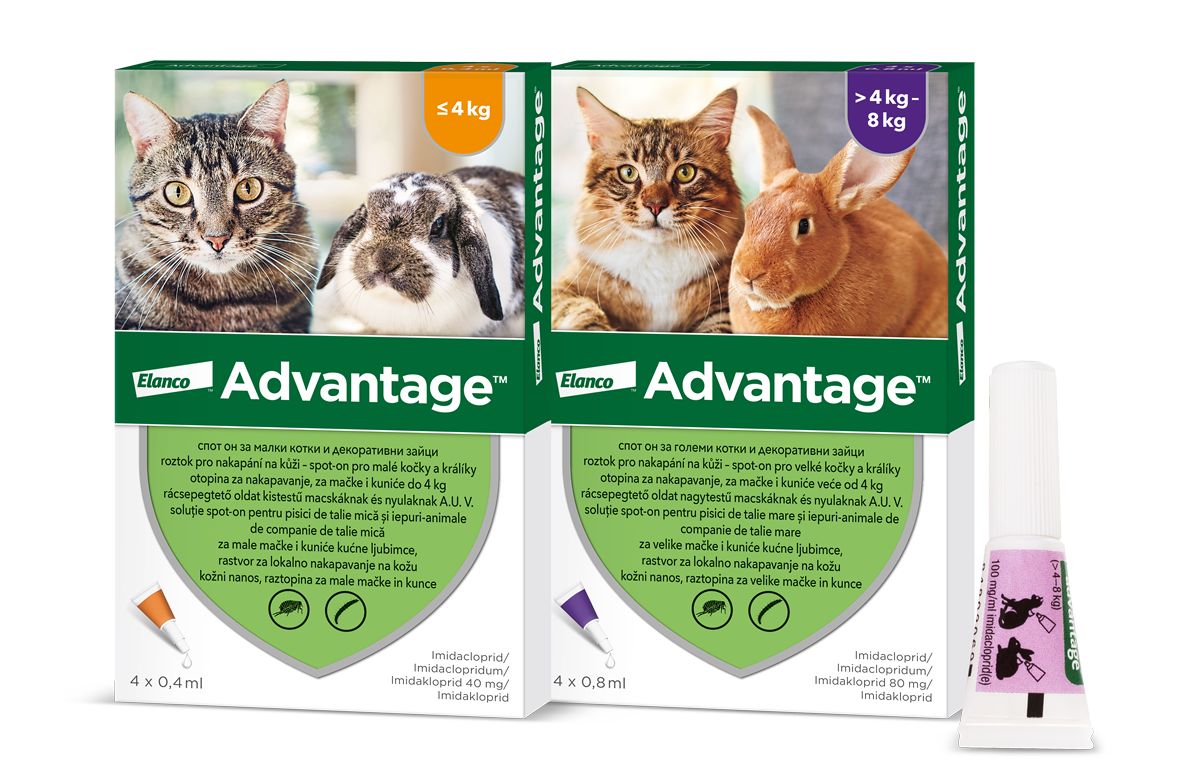 Advantage Spot-on pro velké kočky a králíky 80 mg 4x0,8 ml - Obrázek 3
